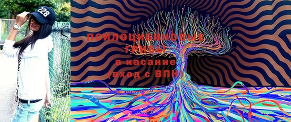 кокаин перу Михайлов