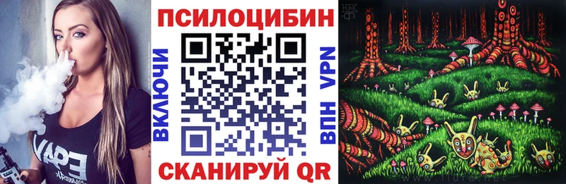 Псилоцибиновые грибы мицелий  продажа наркотиков  Поворино 